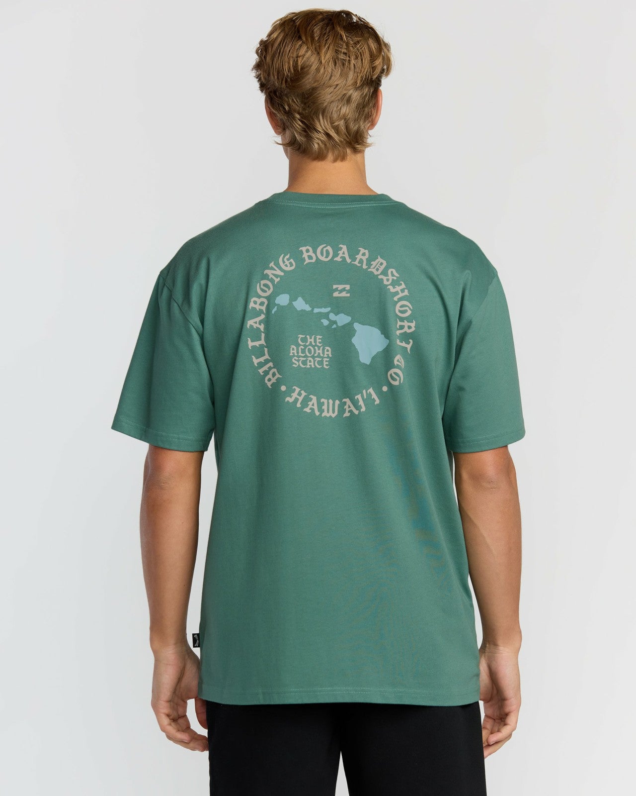 Aloha Island Hi Regular Short Sleeve T-Shirt - Sage Green