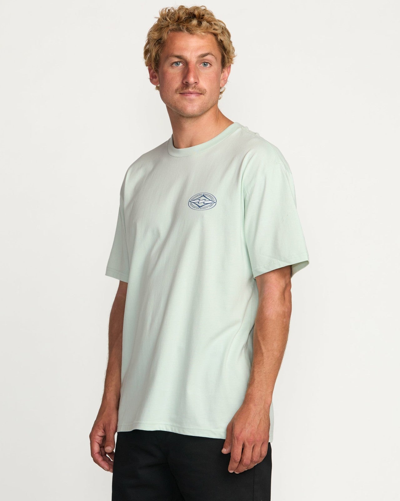 Diamond Vision Regular Tee - Ash Blue