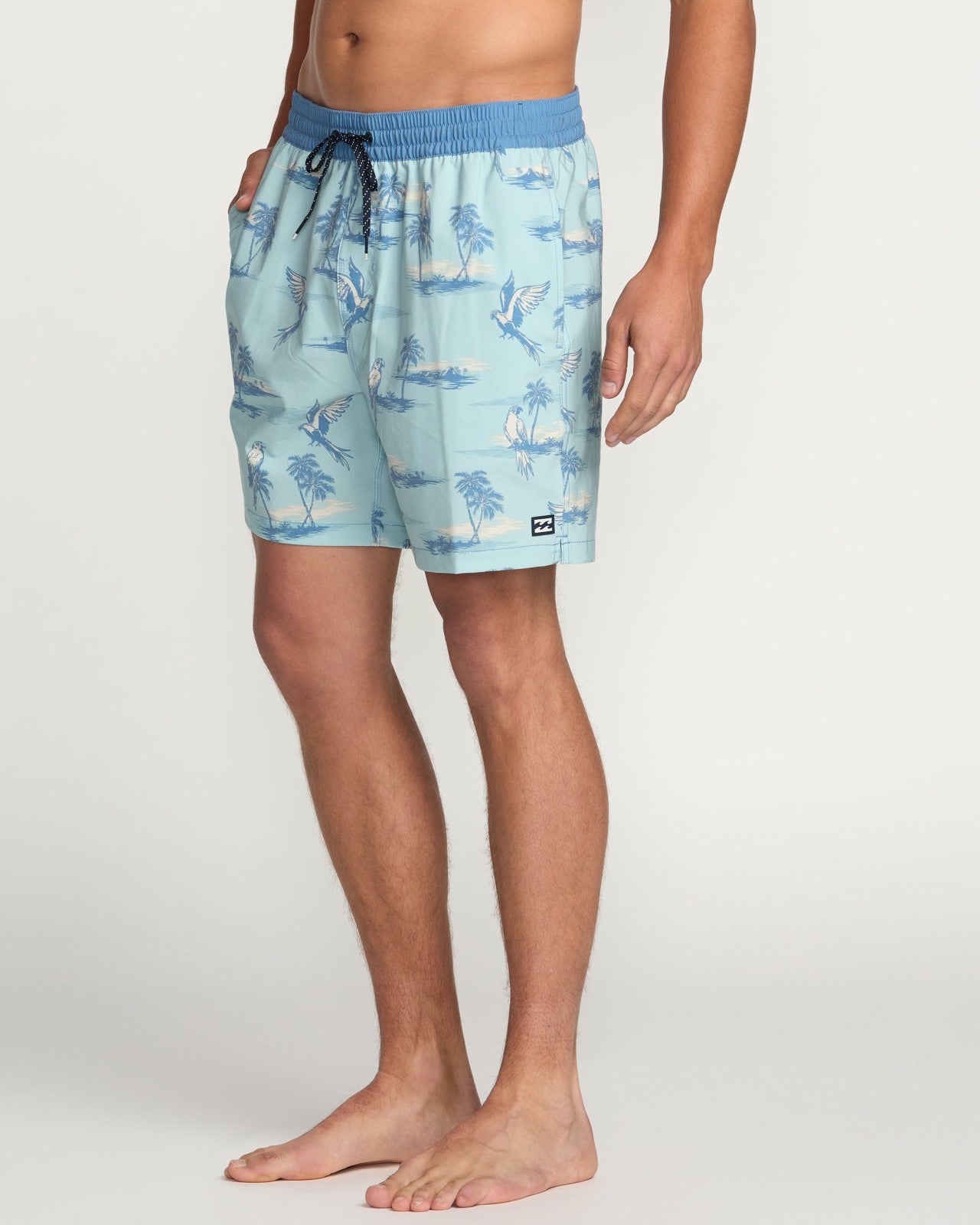 Good Times Laybacks 16" Trunks - Dusty Blue