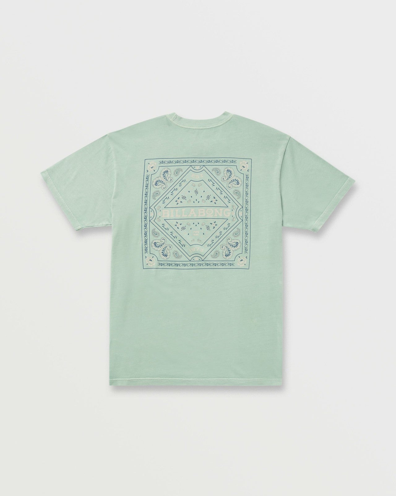 Paise Haze Premium Wave Wash Tee - Mist Green